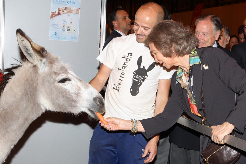 20130526 exposicion canina primavera 03